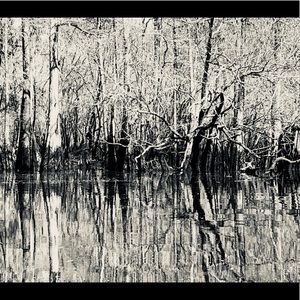 Meet your Posher, Rhiannan